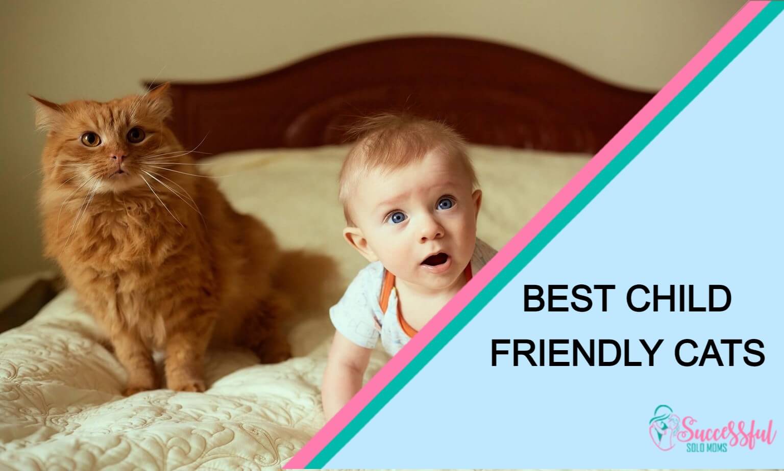 Child Friendly Cats: Best Cat Breeds for Your Kids